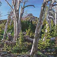 genecateGhostingThrough-thumb