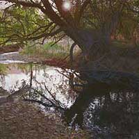 genecatePatrolonCatherineCreek-thumb