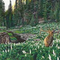 genecateSINGININTHEBLUES-thumb