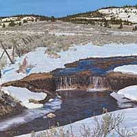 genecateSONGOFTHESAGE-thumb